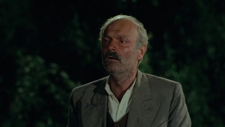 The Night of the Shooting Stars screenshot 4