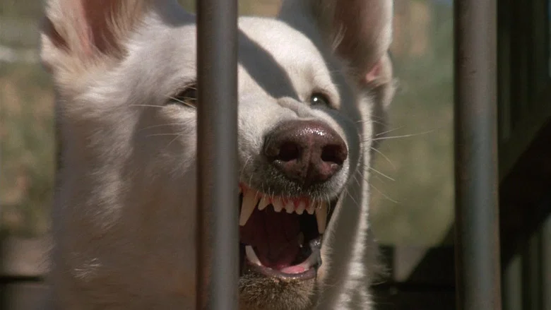White Dog screenshot 2