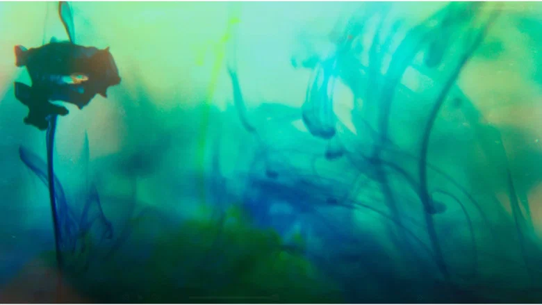 Sugar Boy screenshot 1