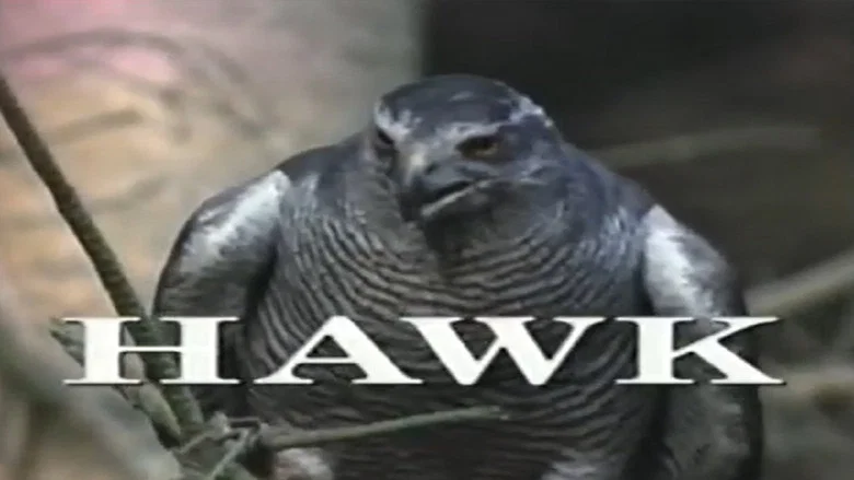 Predators of the Wild: Hawk screenshot 1