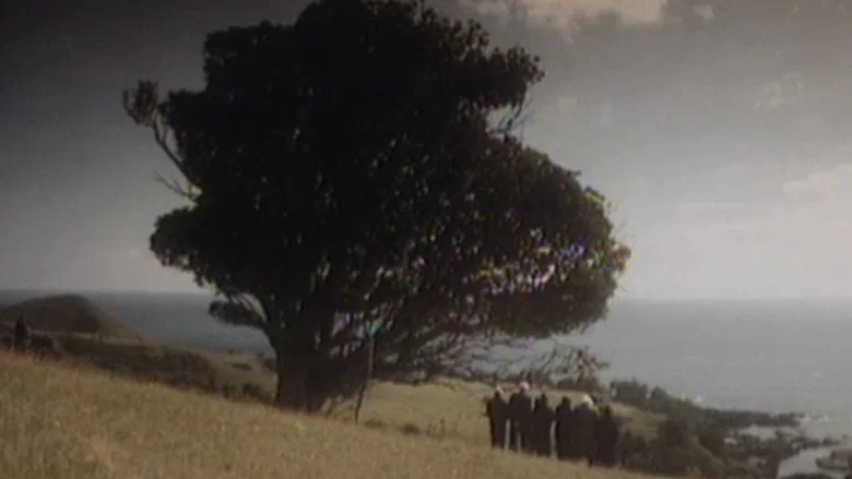 Mauri screenshot 3