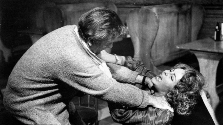 Who's Afraid of Virginia Woolf? screenshot 4