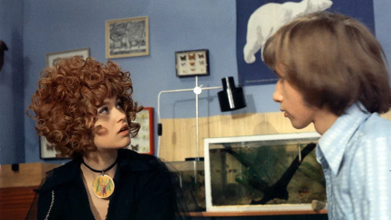 The Girl on the Broomstick screenshot 4