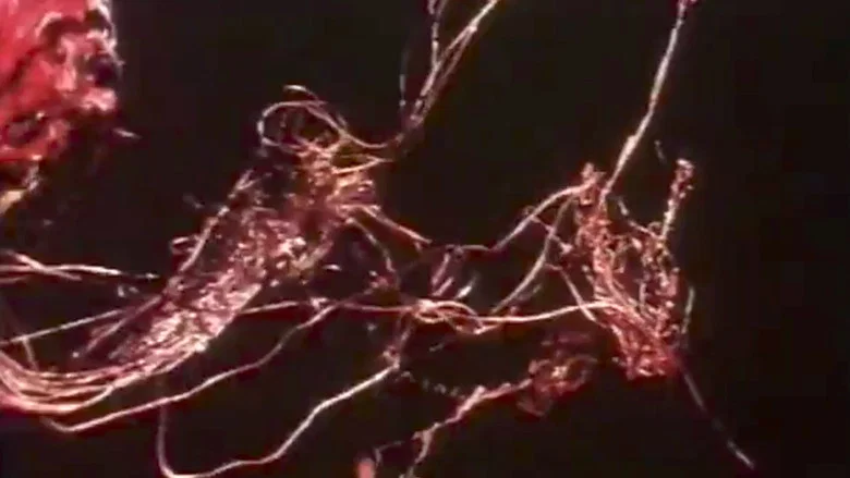 Anger screenshot 1