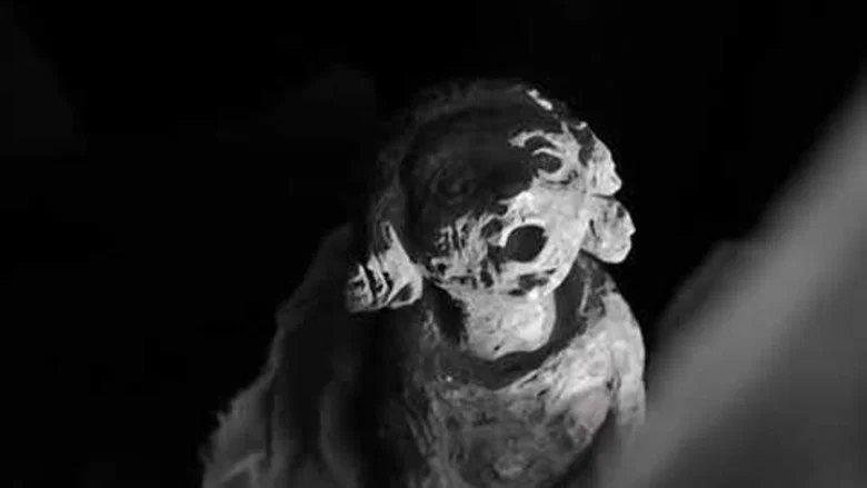 Galician Caress (of Clay) screenshot 1