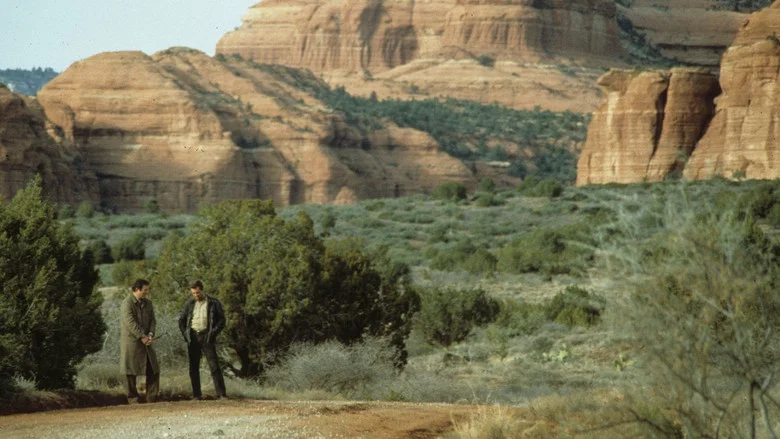 Midnight Run screenshot 8