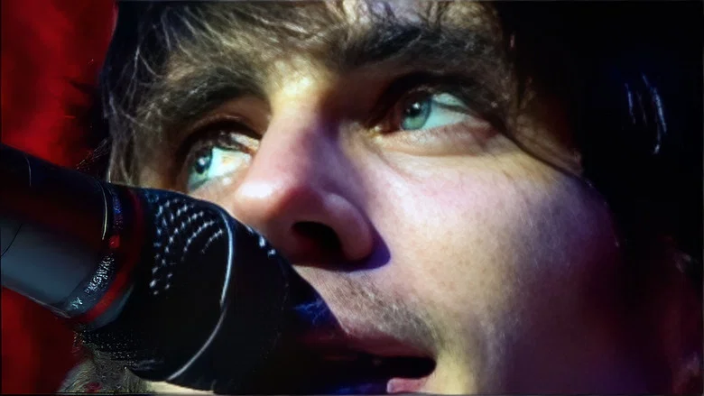 The All-American Rejects: Tournado screenshot 1