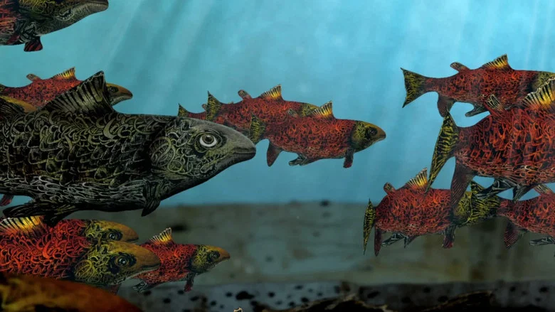 Salmon screenshot 1