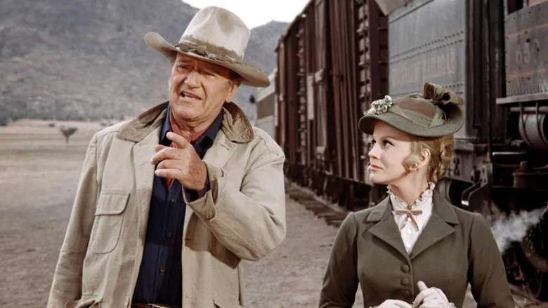 The Train Robbers screenshot 3