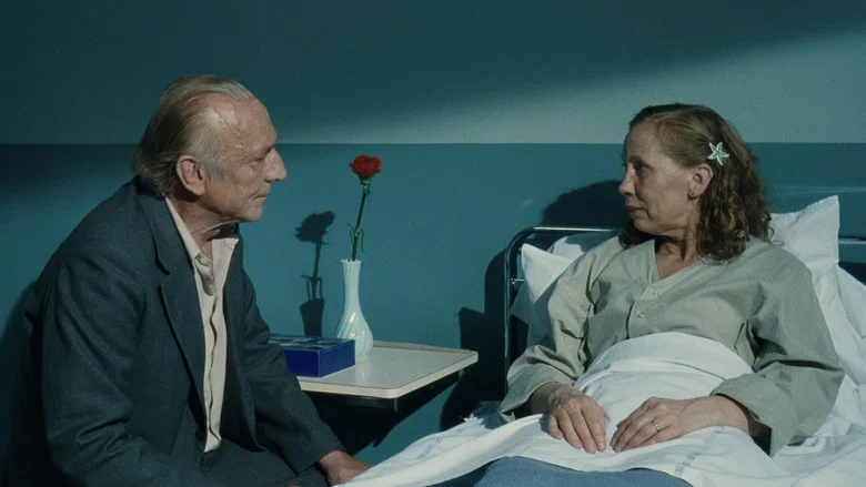 Le Havre screenshot 4