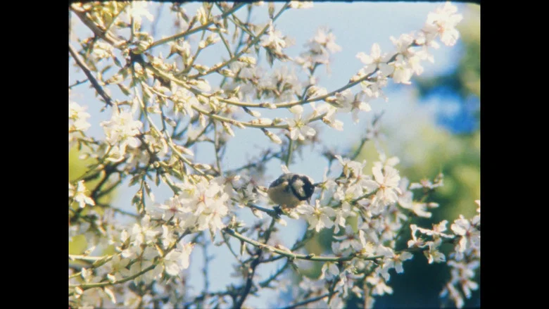 Desmayo Largueta screenshot 1