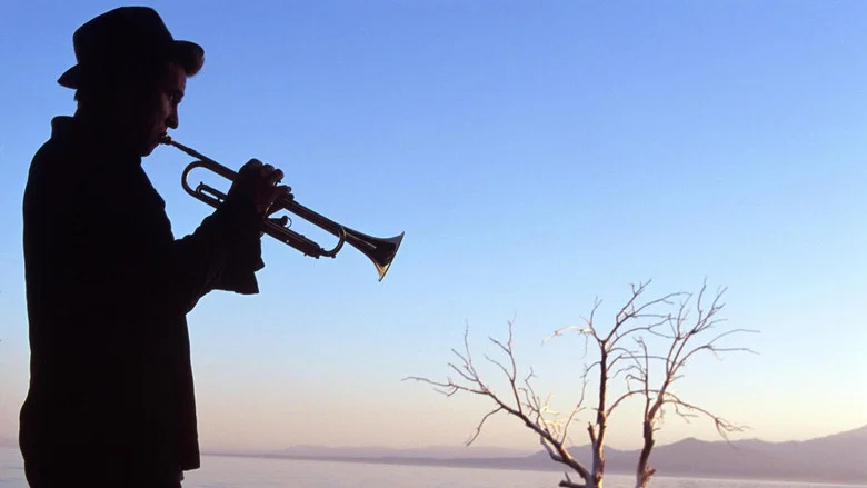 The Salton Sea screenshot 6