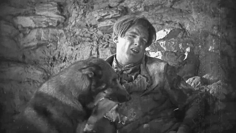 Clash of the Wolves screenshot 4