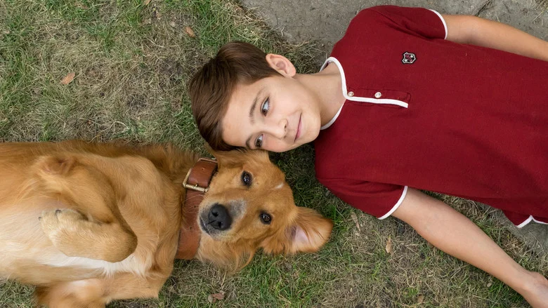 A Dog's Purpose screenshot 3