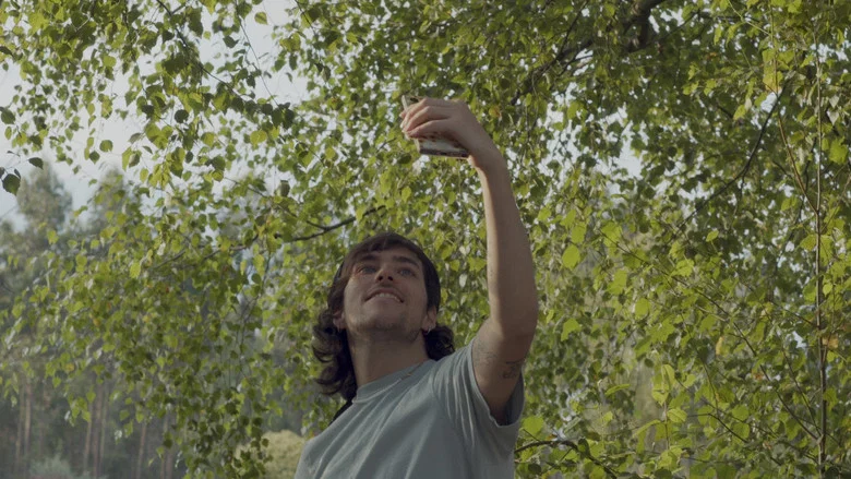 Blow Down screenshot 3