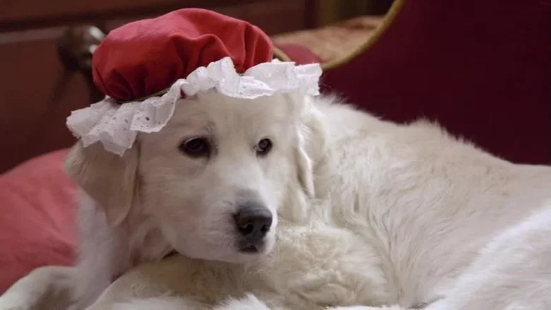 Santa Paws 2: The Santa Pups screenshot 4