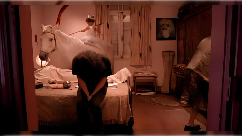 Durval Discos screenshot 4