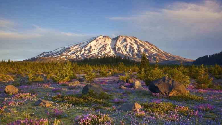 The Eruption of Mount St. Helens! screenshot 2