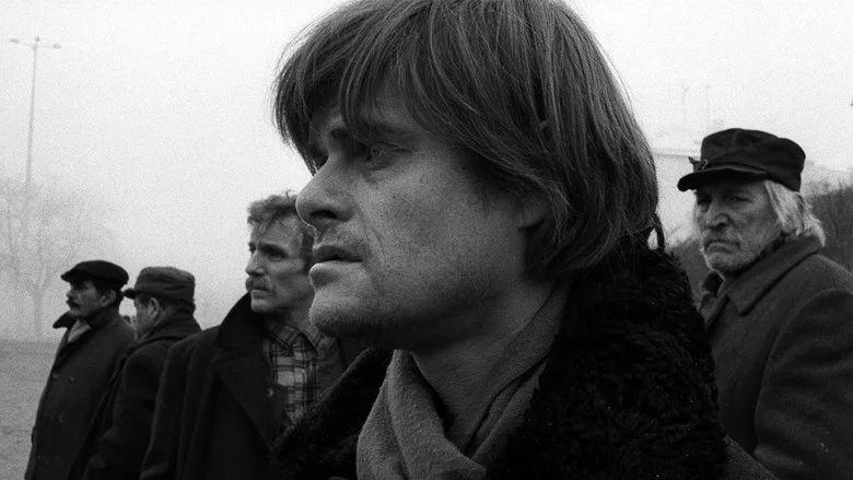 Werckmeister Harmonies screenshot 4