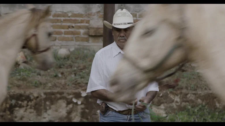 Horse Wrangler screenshot 1