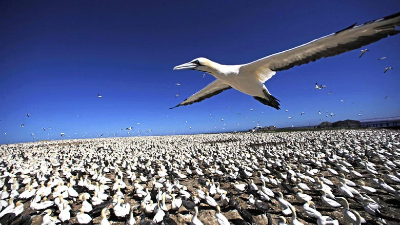 Earthflight screenshot 5