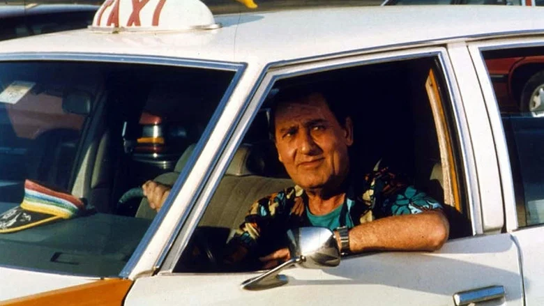 A Taxi Driver in New York screenshot 1