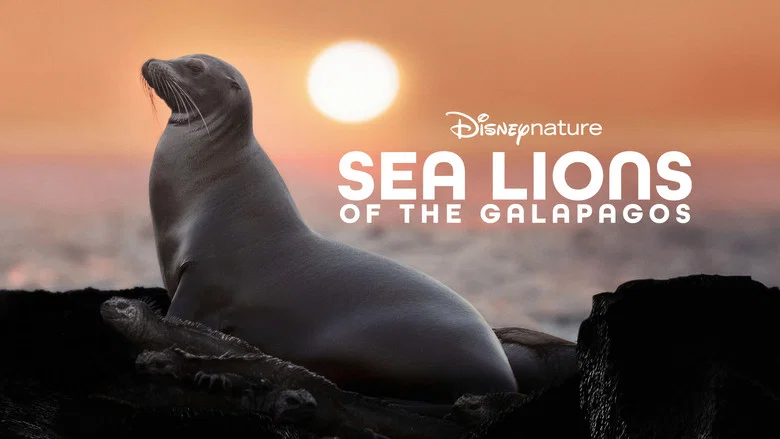 Sea Lions of the Galapagos screenshot 8
