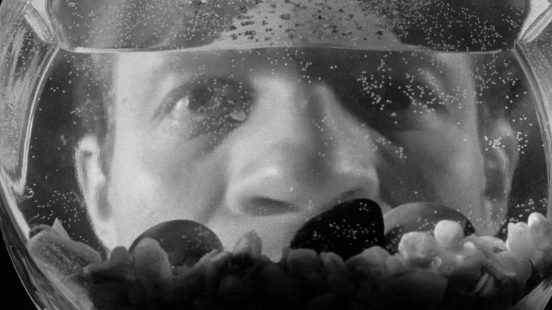 Killer's Kiss screenshot 6