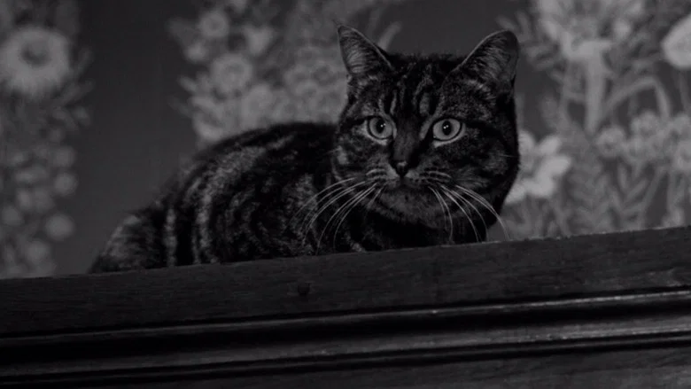 The Shadow of the Cat screenshot 1
