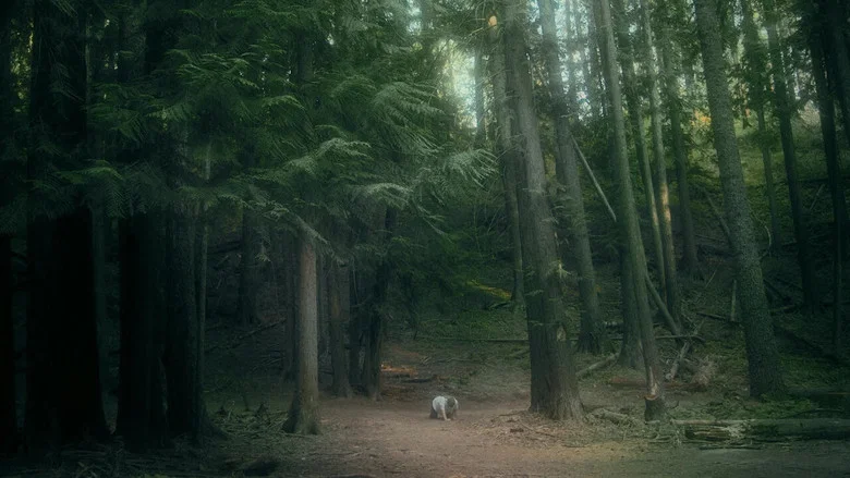 Tortoise & Hare screenshot 2