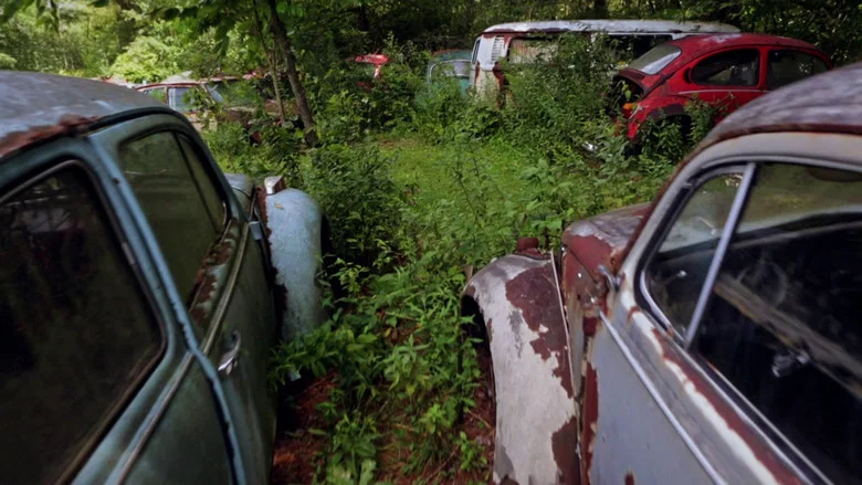 The Bug: Life and Times of the People's Car screenshot 1