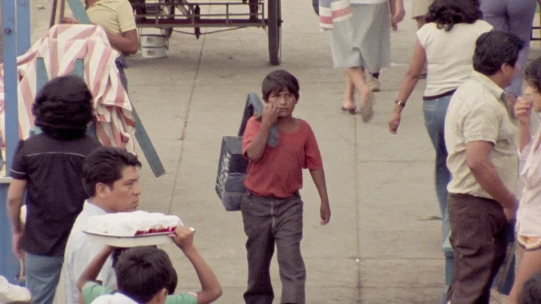 Gregorio screenshot 5