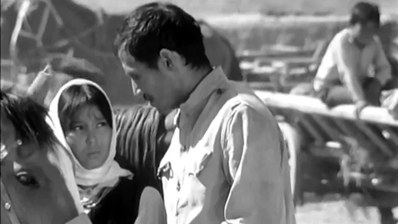 Dzhamilya screenshot 2