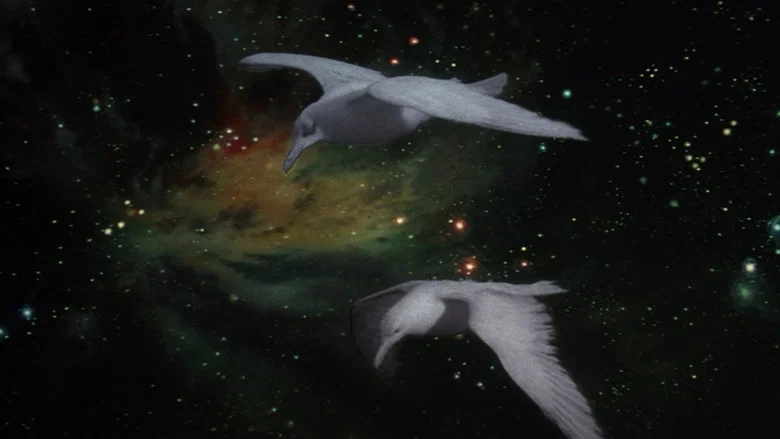 Jonathan Livingston Seagull screenshot 1