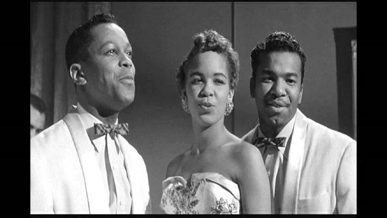 The Platters & The Coasters screenshot 1
