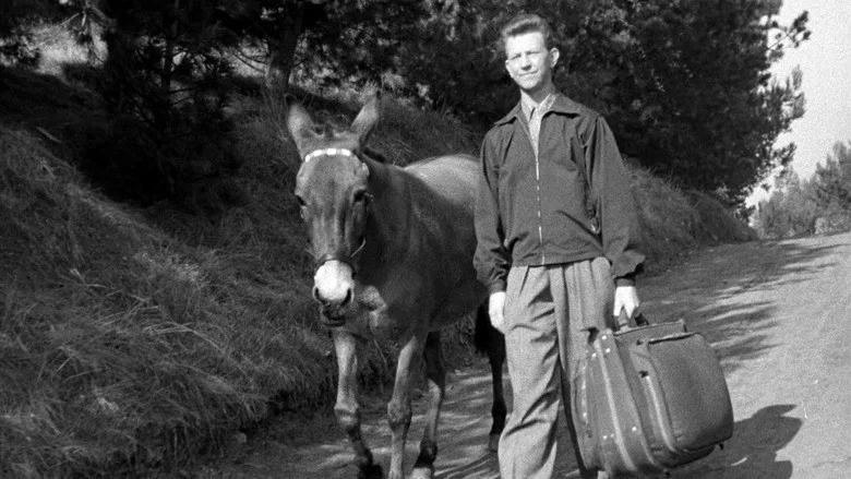 Francis Goes to the Races screenshot 5