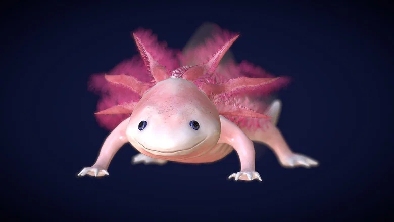 Axolotl, la salamandre miraculeuse screenshot 1