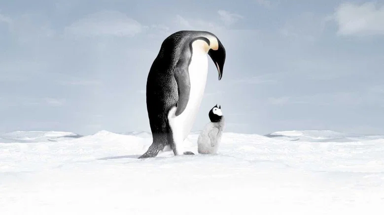 March of the Penguins screenshot 4