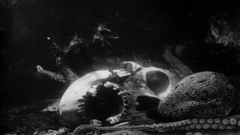 The Octopus screenshot 1