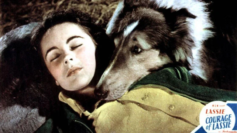 Courage of Lassie screenshot 2