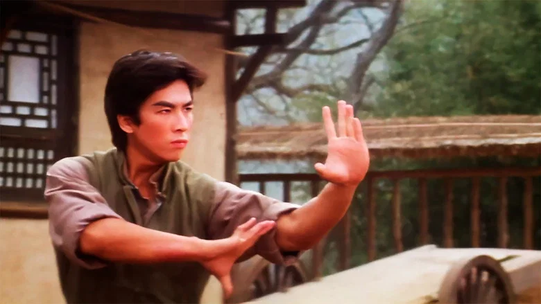 Drunken Tai Chi screenshot 1