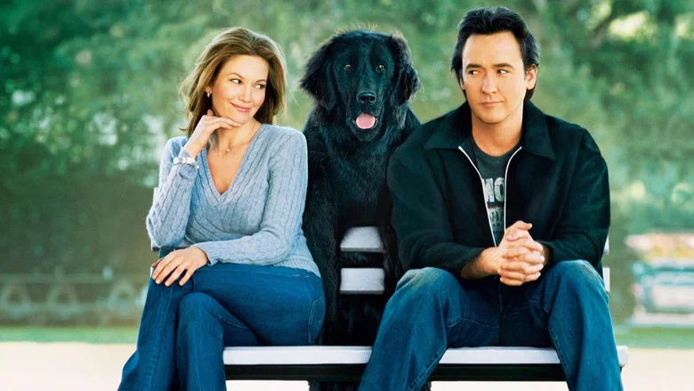 Must Love Dogs screenshot 1