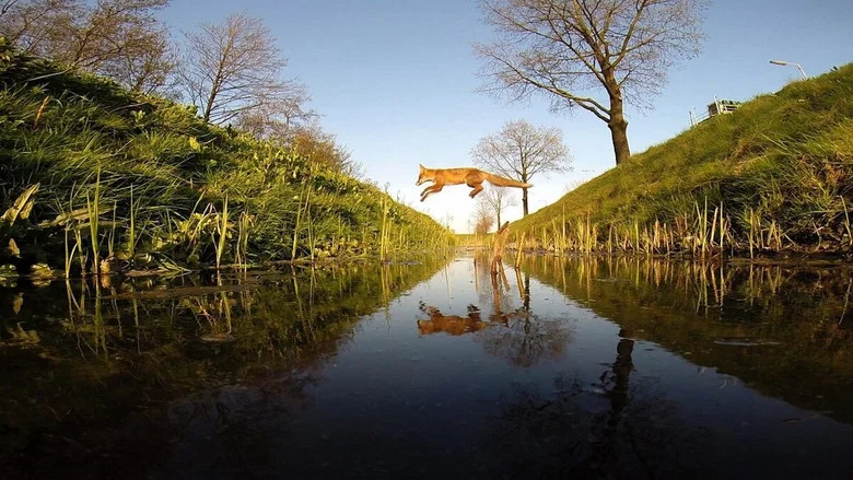 Amsterdam Wildlife screenshot 1