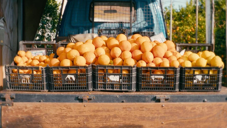 O Tempo De Comer Uma Laranja screenshot 4