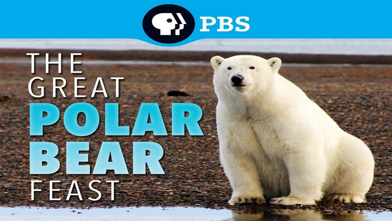 The Great Polar Bear Feast screenshot 3