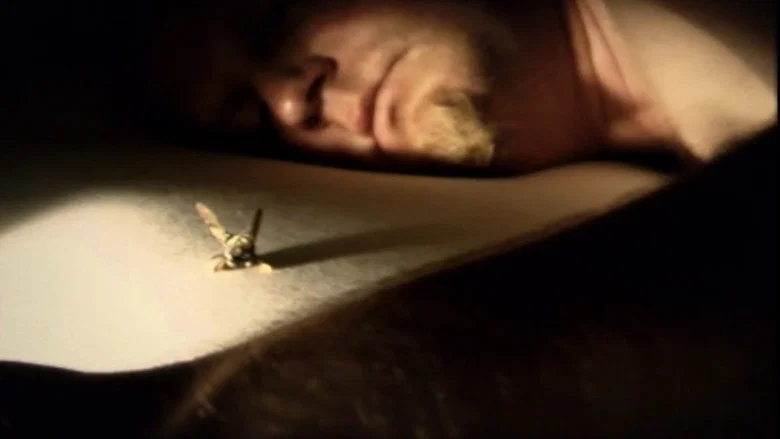 Debris Documentar screenshot 5