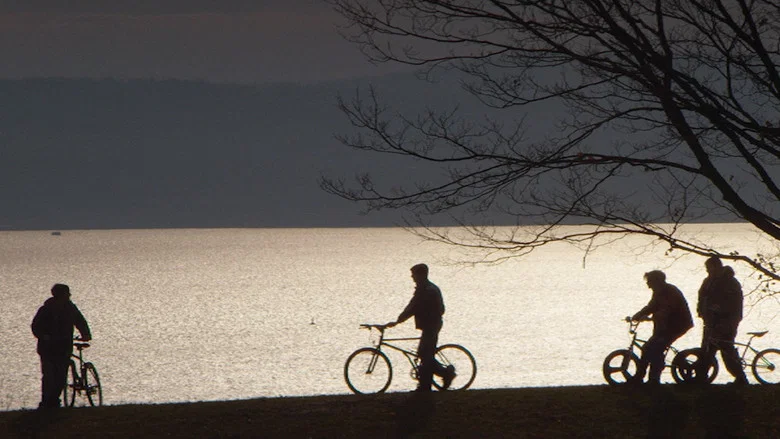 Super Dark Times screenshot 3