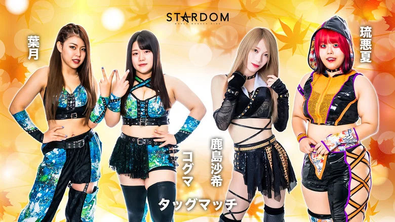 Stardom Hiroshima Goddess Festival ~Kinsai Stardom~ screenshot 8