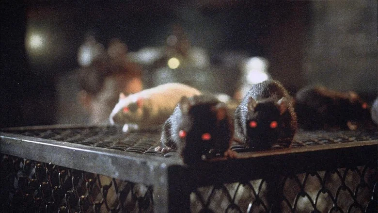 Rats screenshot 1