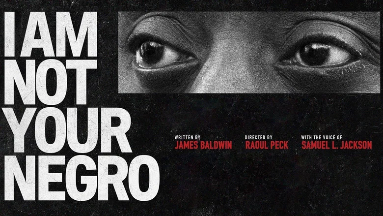 I Am Not Your Negro screenshot 6